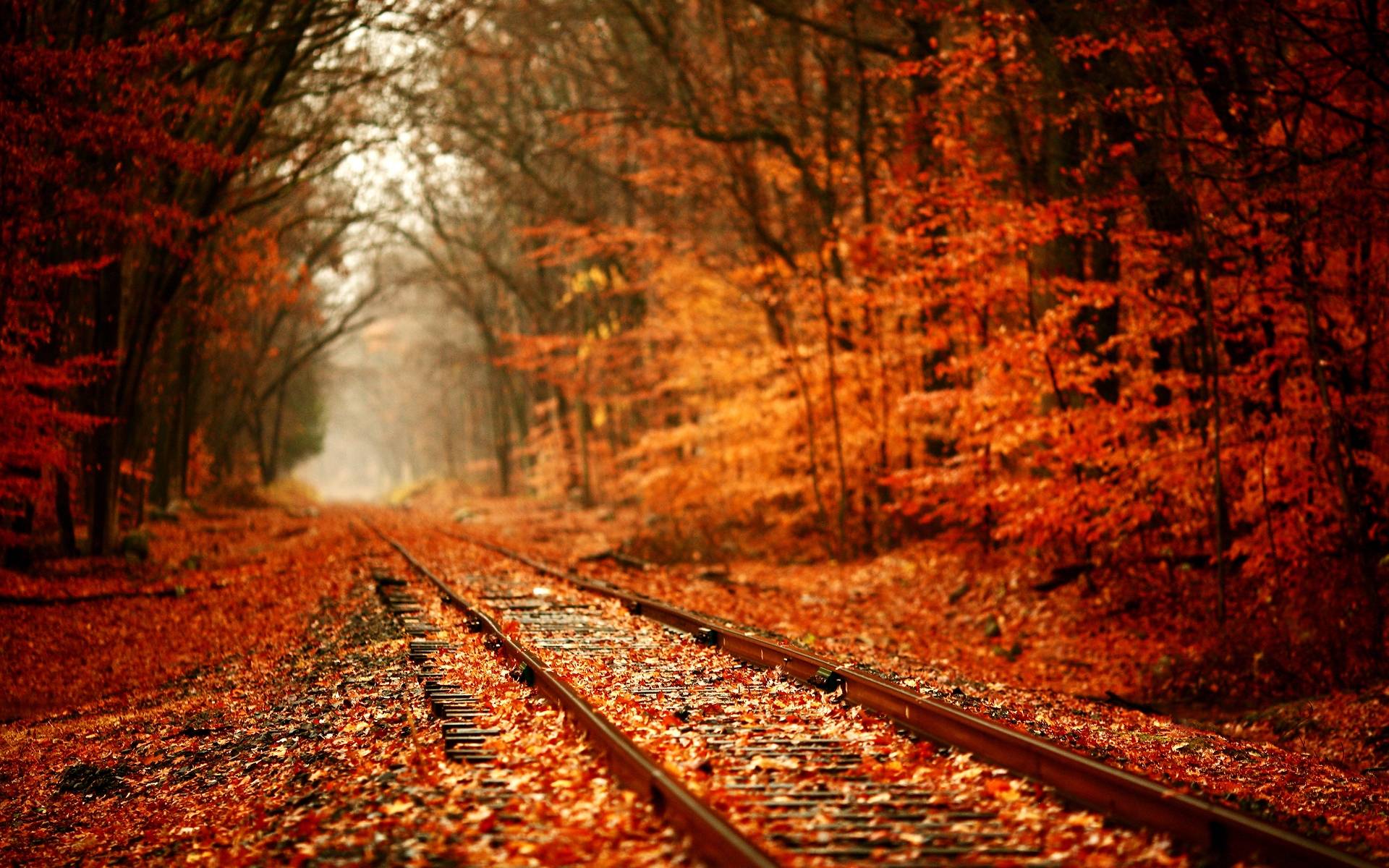 Cool Fall Backgrounds Wallpaper Cave