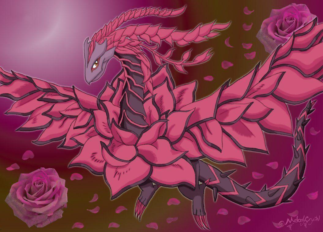 Black Rose Dragon Wallpapers Wallpaper Cave