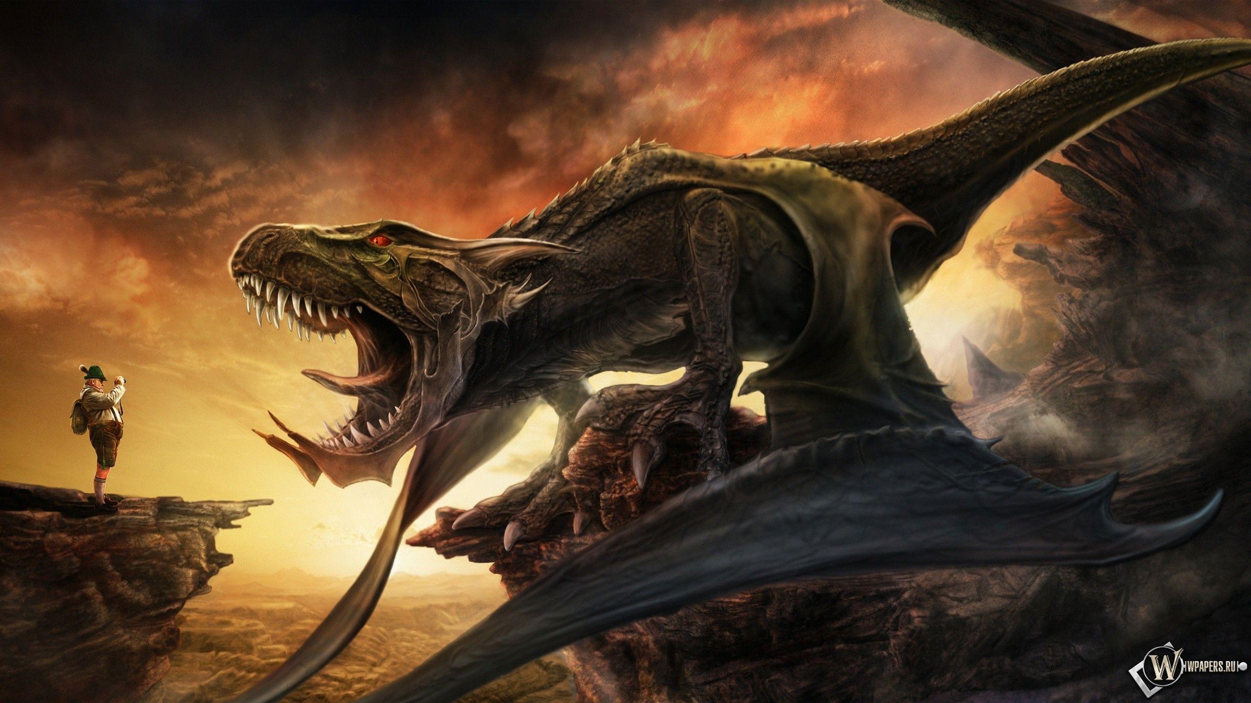 Wallpapers Of Dragons Wallpaper Cave