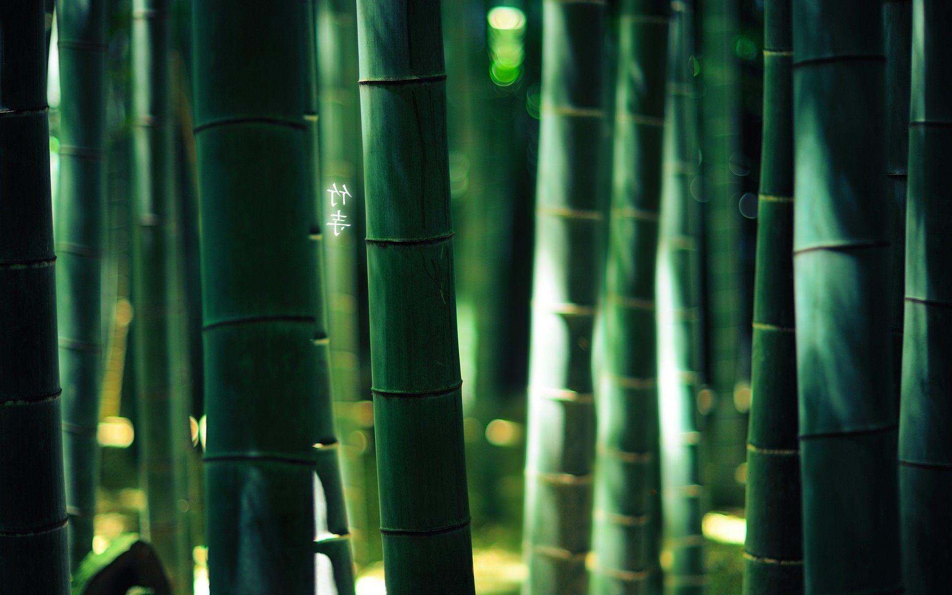 Bamboo Desktop Wallpapers Wallpaper Cave
