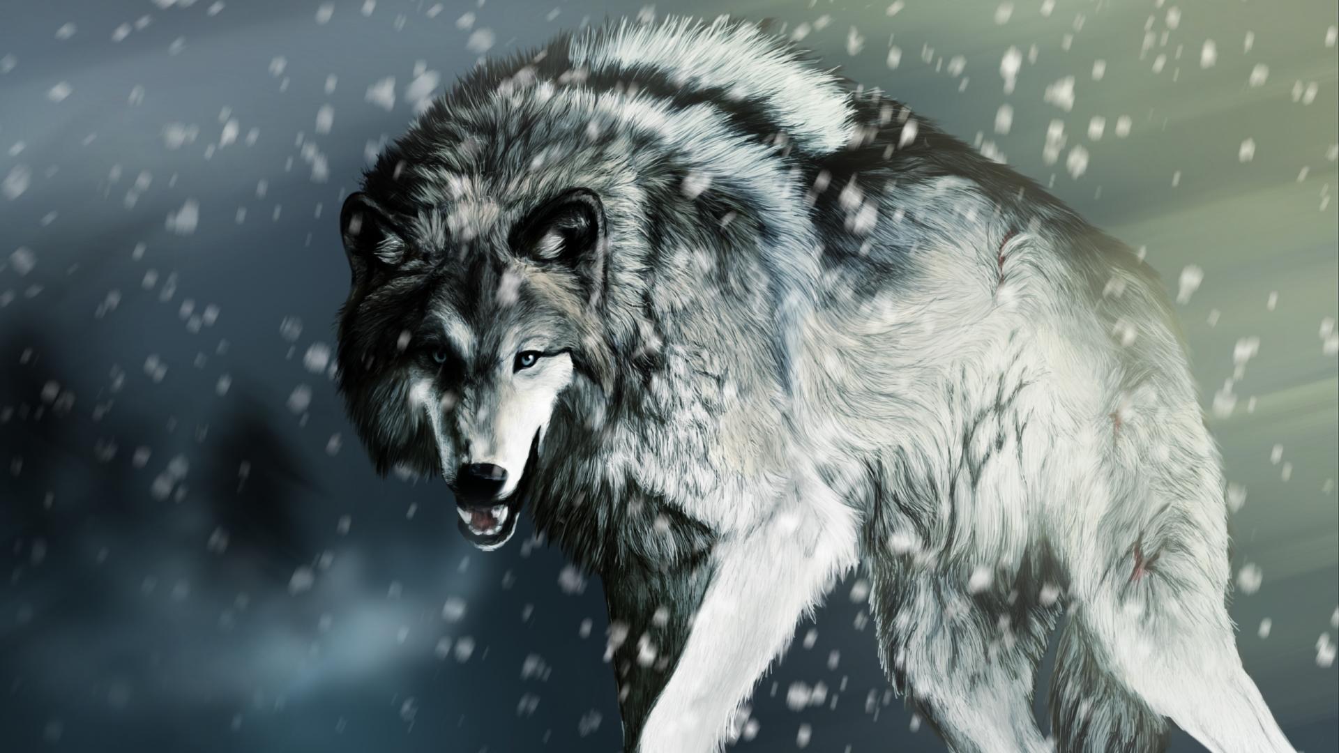Free HD Wolf Wallpapers Wallpaper Cave