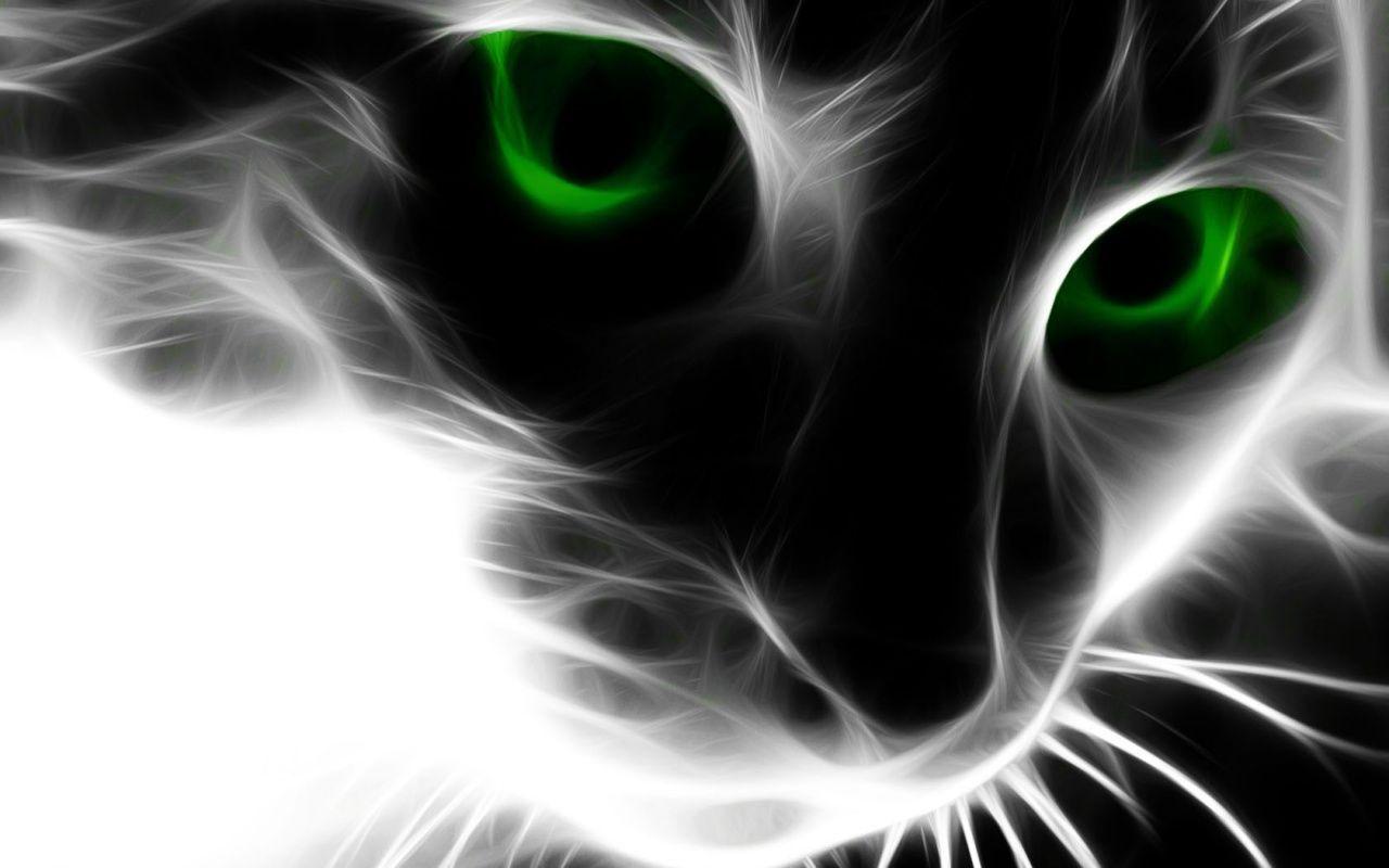Green Eyes Wallpapers Wallpaper Cave