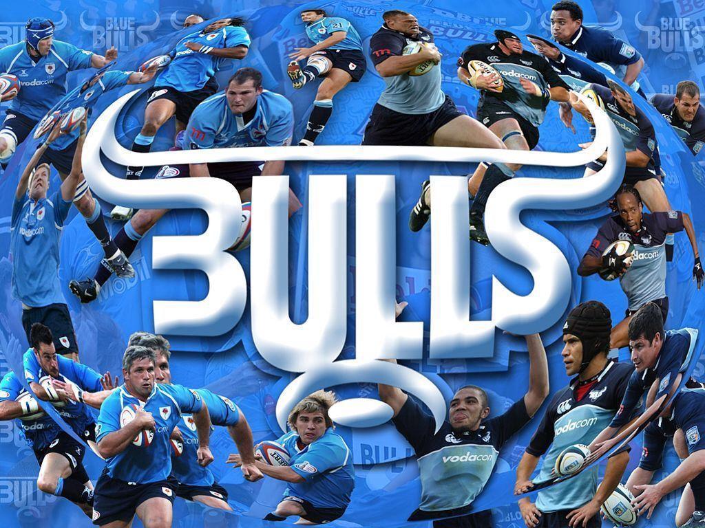 Blue Bulls Wallpapers Wallpaper Cave