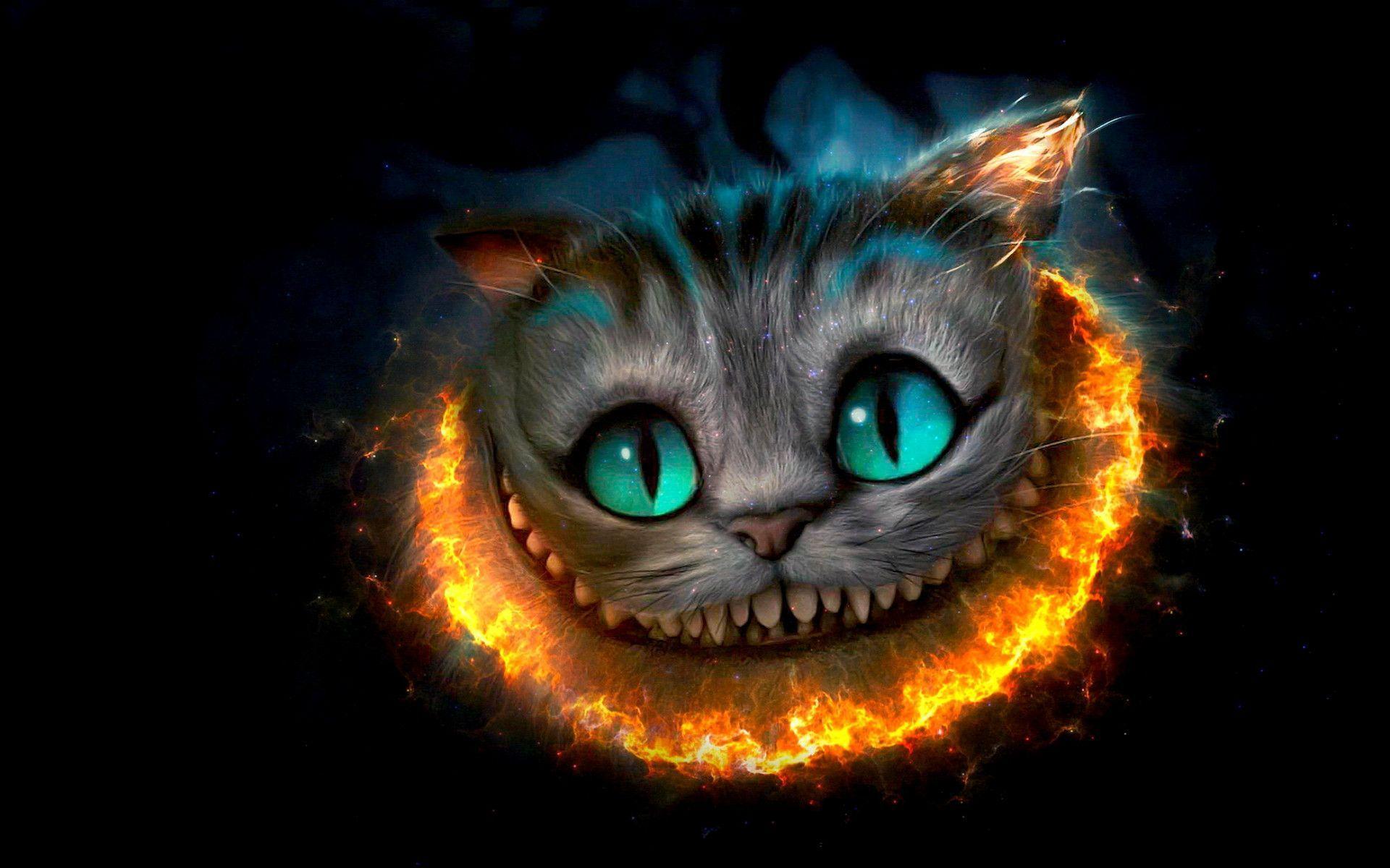 Cheshire Cat Wallpapers Wallpaper Cave