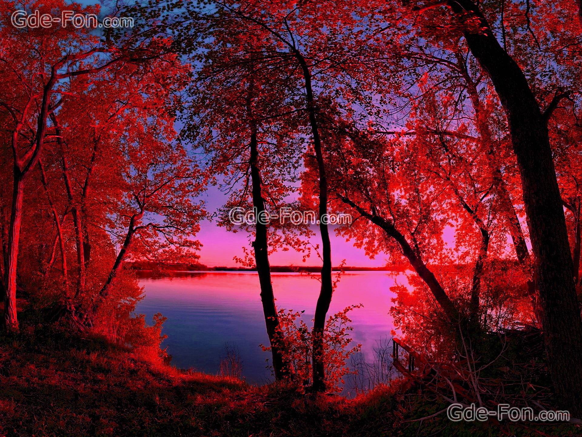 Crimson Wallpapers Wallpaper Cave