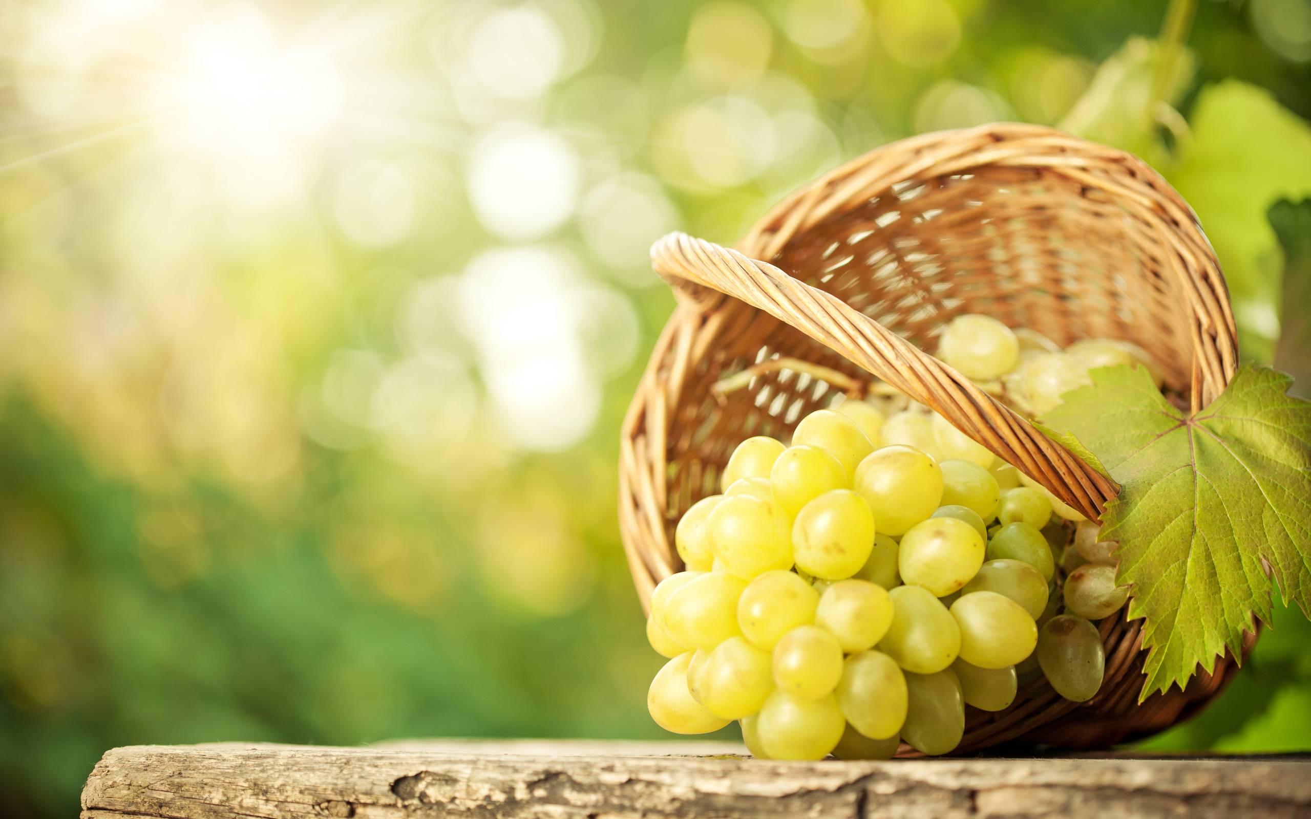 Grapes Wallpapers Wallpaper Cave