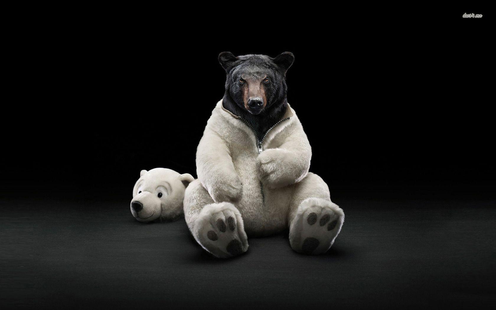 Black Bear Wallpapers Wallpaper Cave