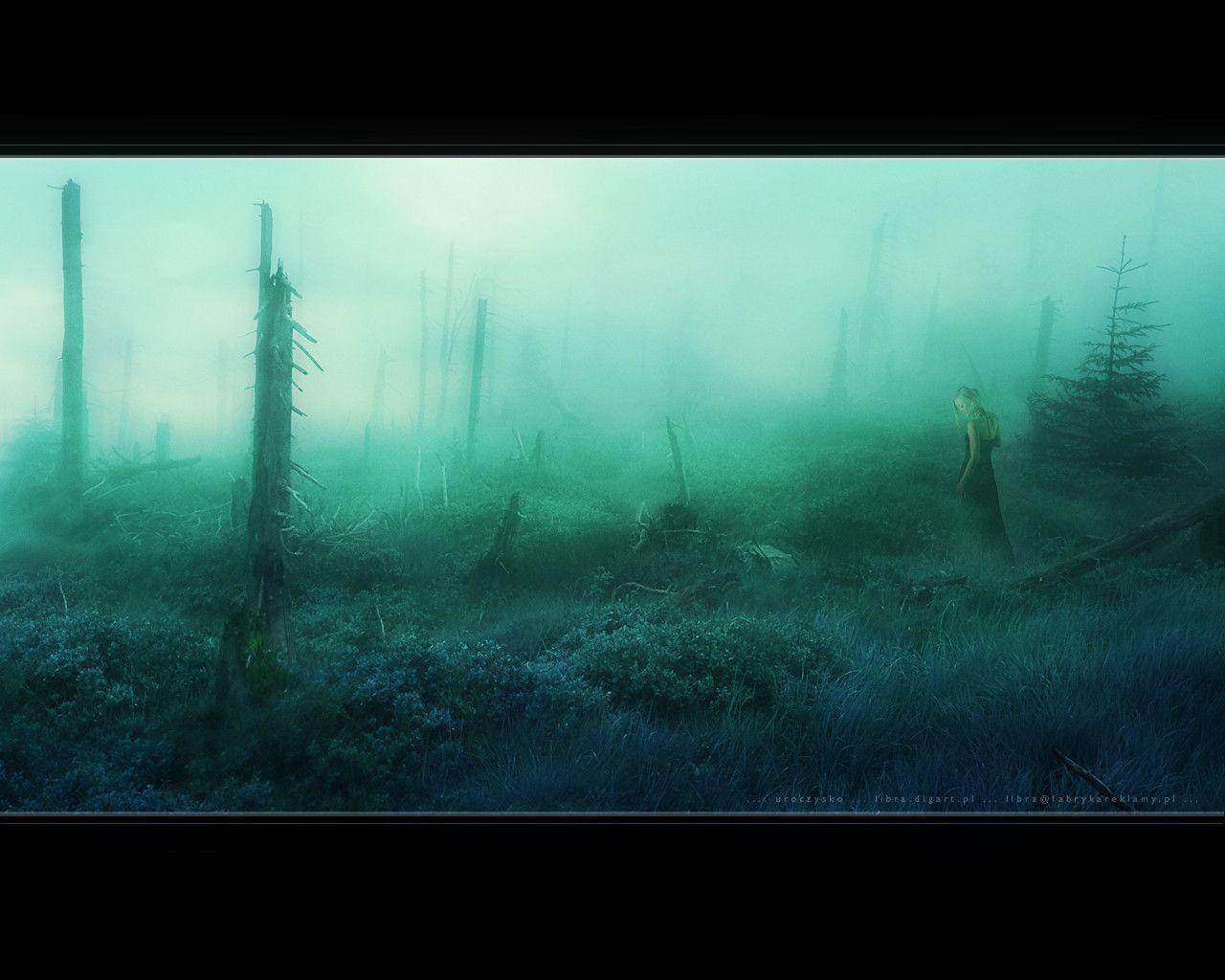 Dreamland Wallpapers Wallpaper Cave