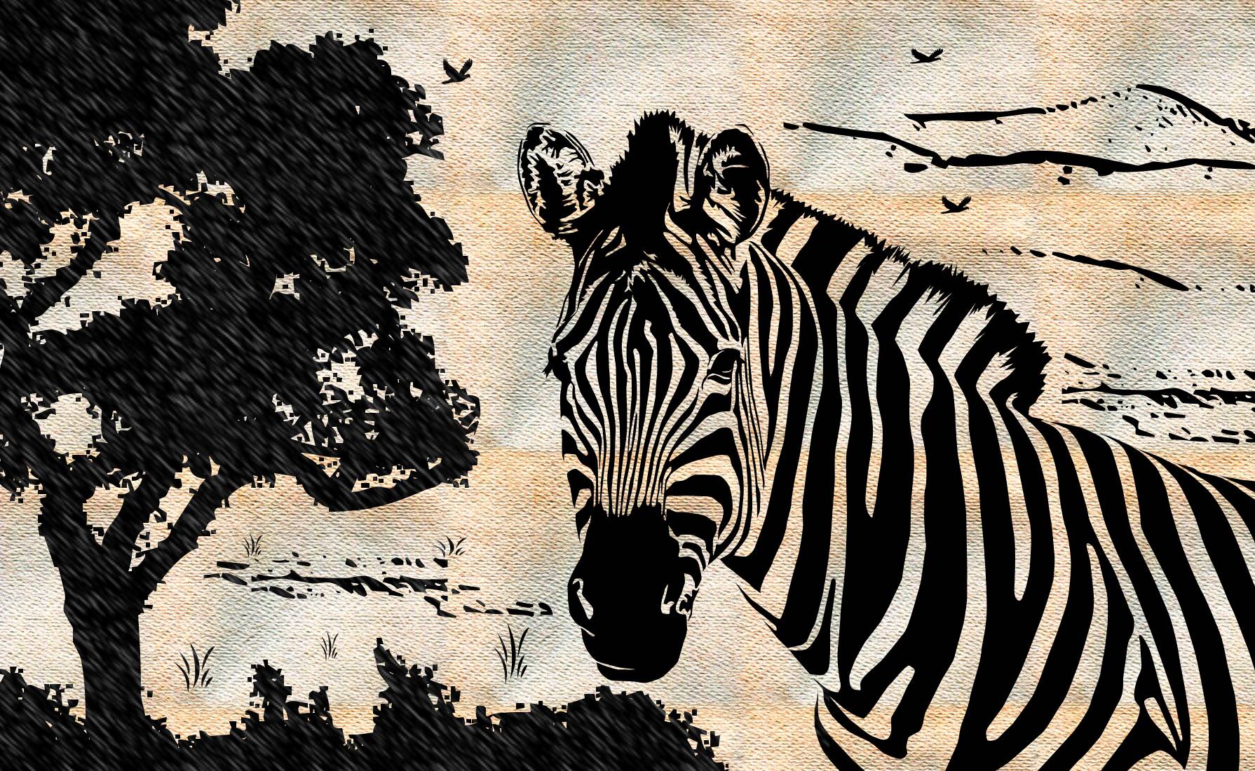 Zebra Desktop Wallpapers Wallpaper Cave