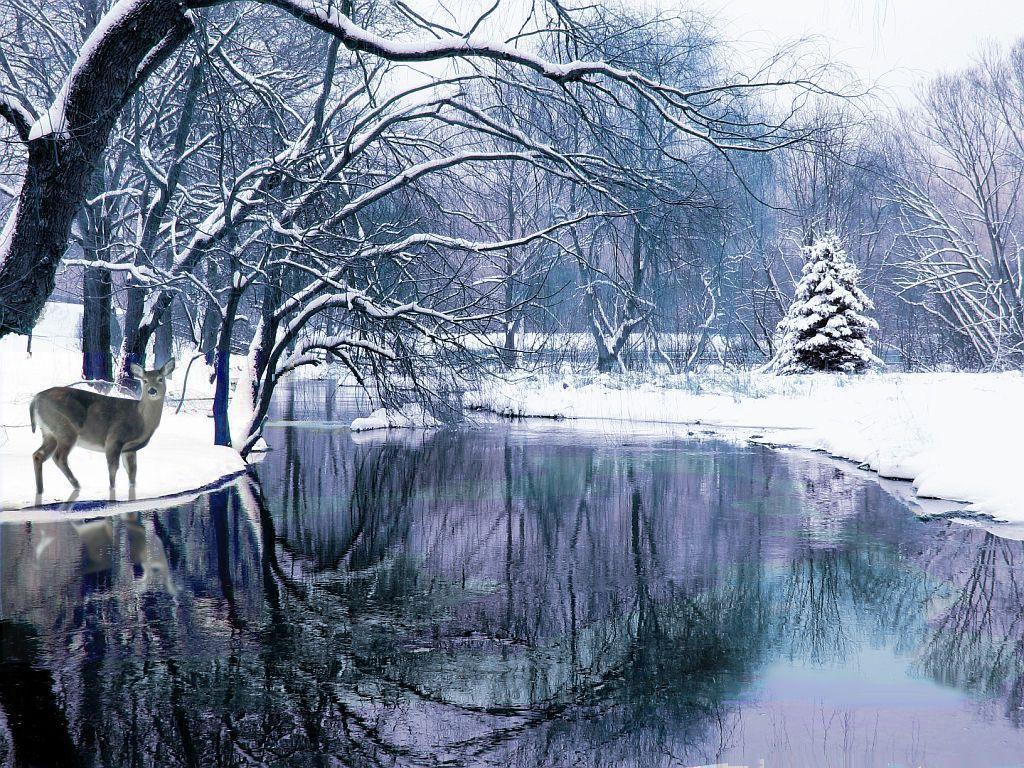 Winter Backgrounds Scenes Wallpaper Cave