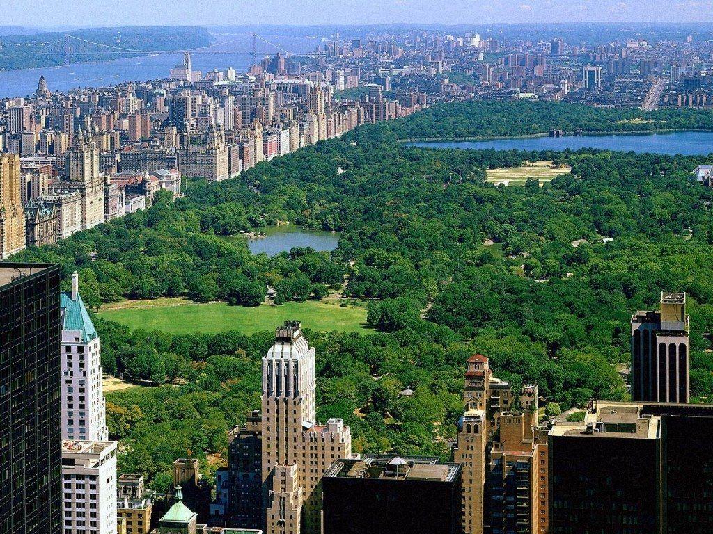 Central Park Zoom Background