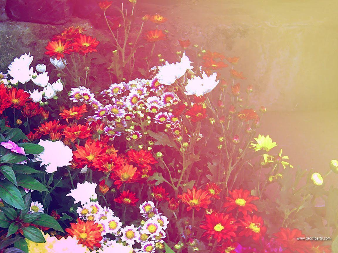 Floral Desktop Backgrounds Wallpaper Cave