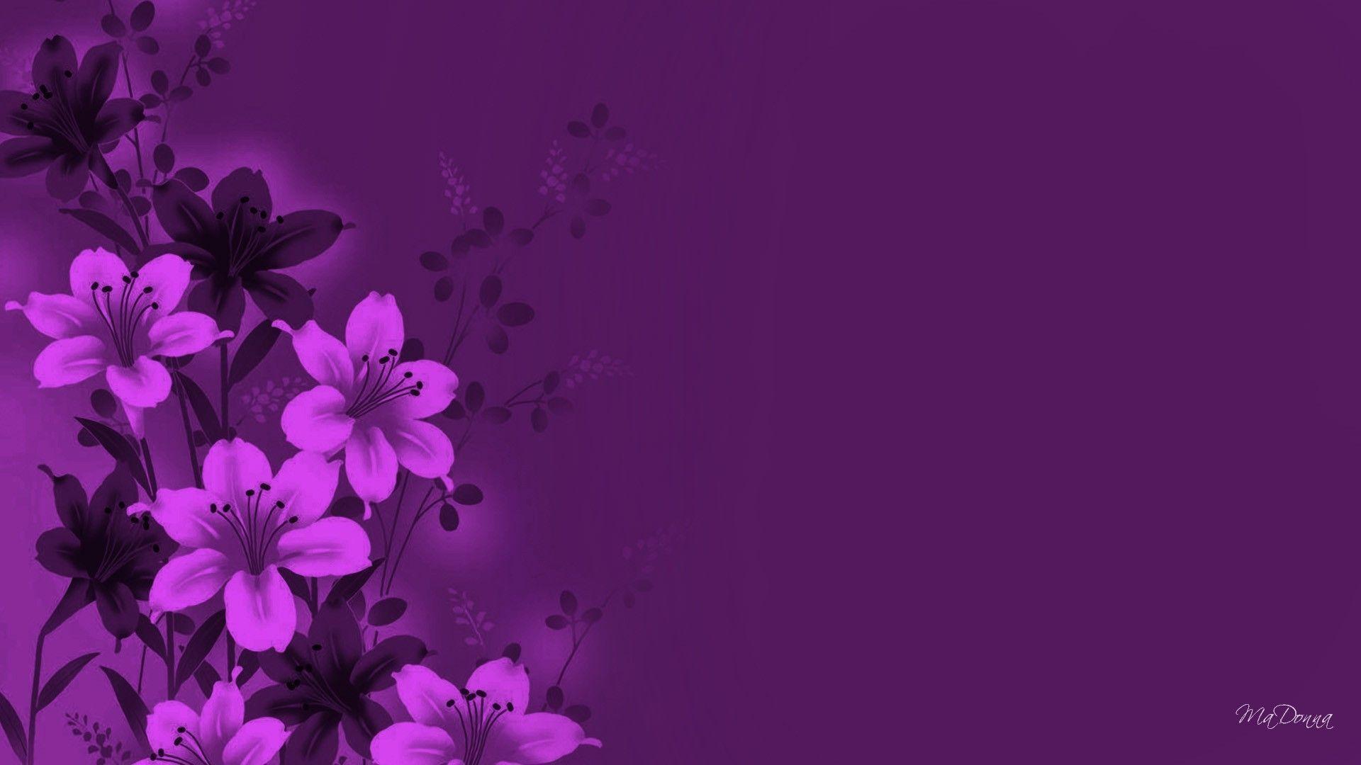 Magenta Backgrounds Wallpaper Cave