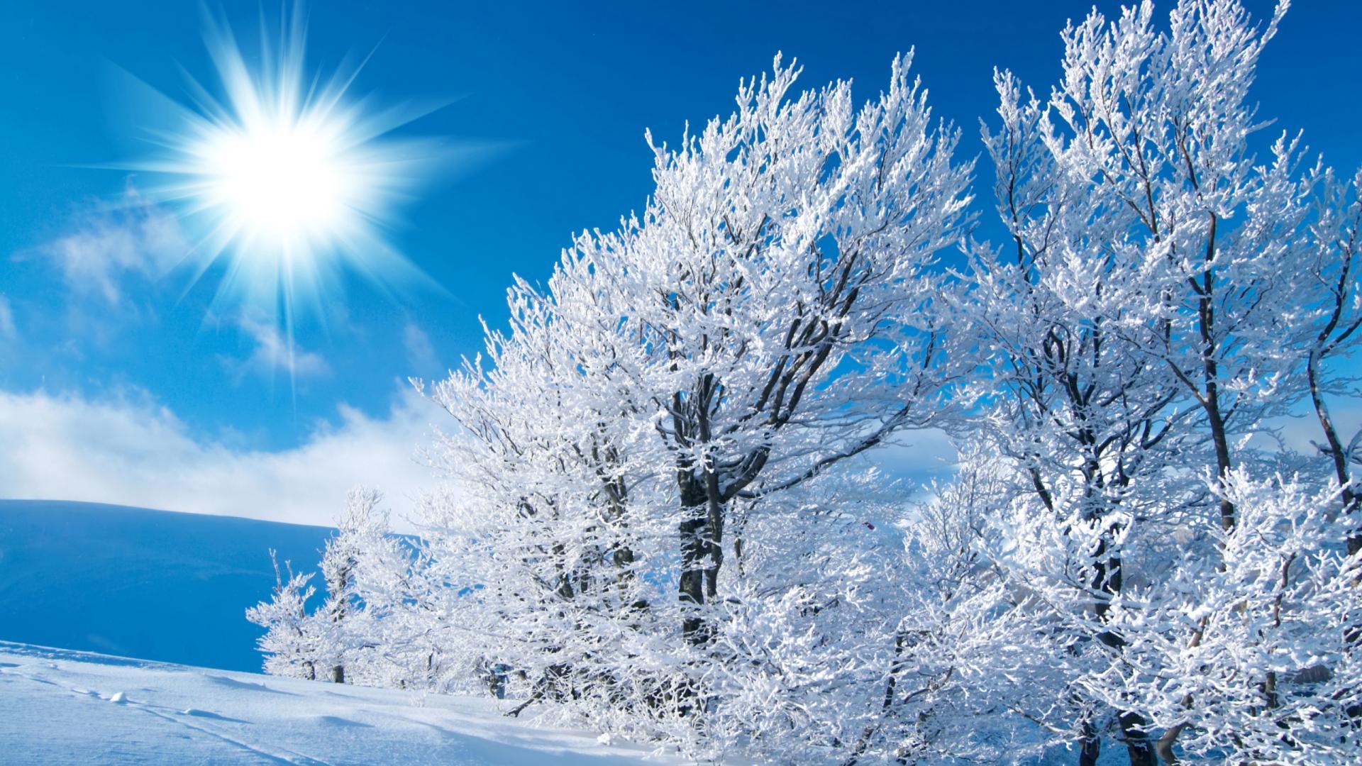 Free Winter Wallpapers For Desktop Wallpaper Cave
