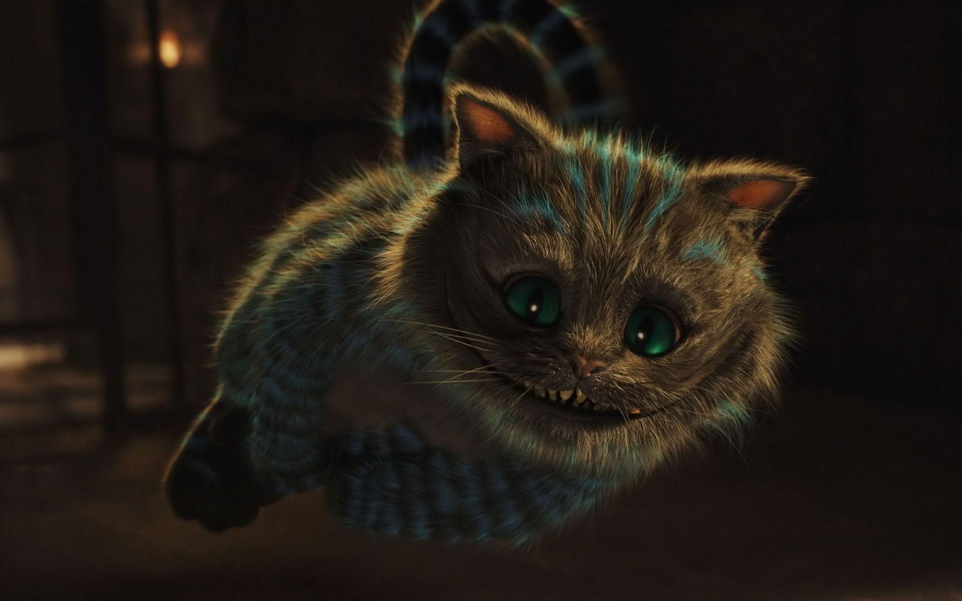 Cheshire Cat Wallpapers Wallpaper Cave