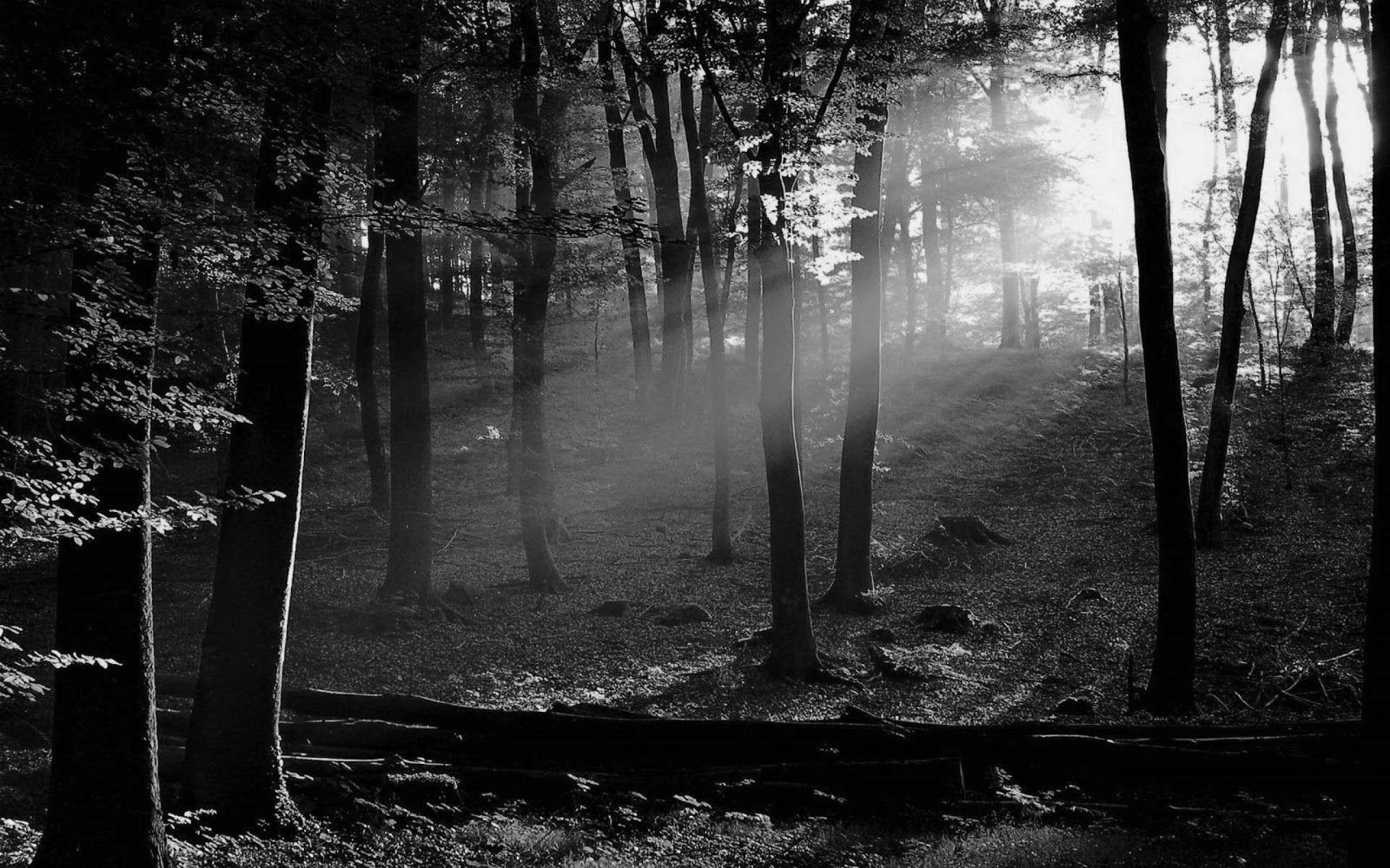 HD Wallpapers Black And White Wallpaper Cave