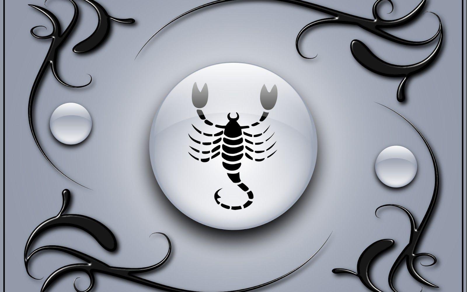 Scorpio Wallpapers Wallpaper Cave
