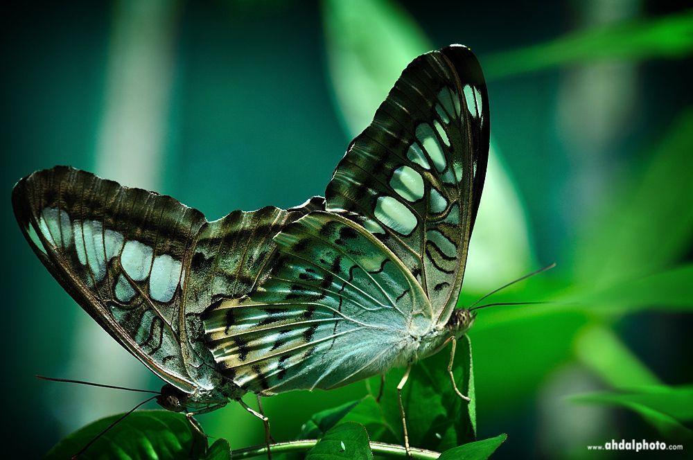 Professional Desktop Wallpapers Wallpaper Cave