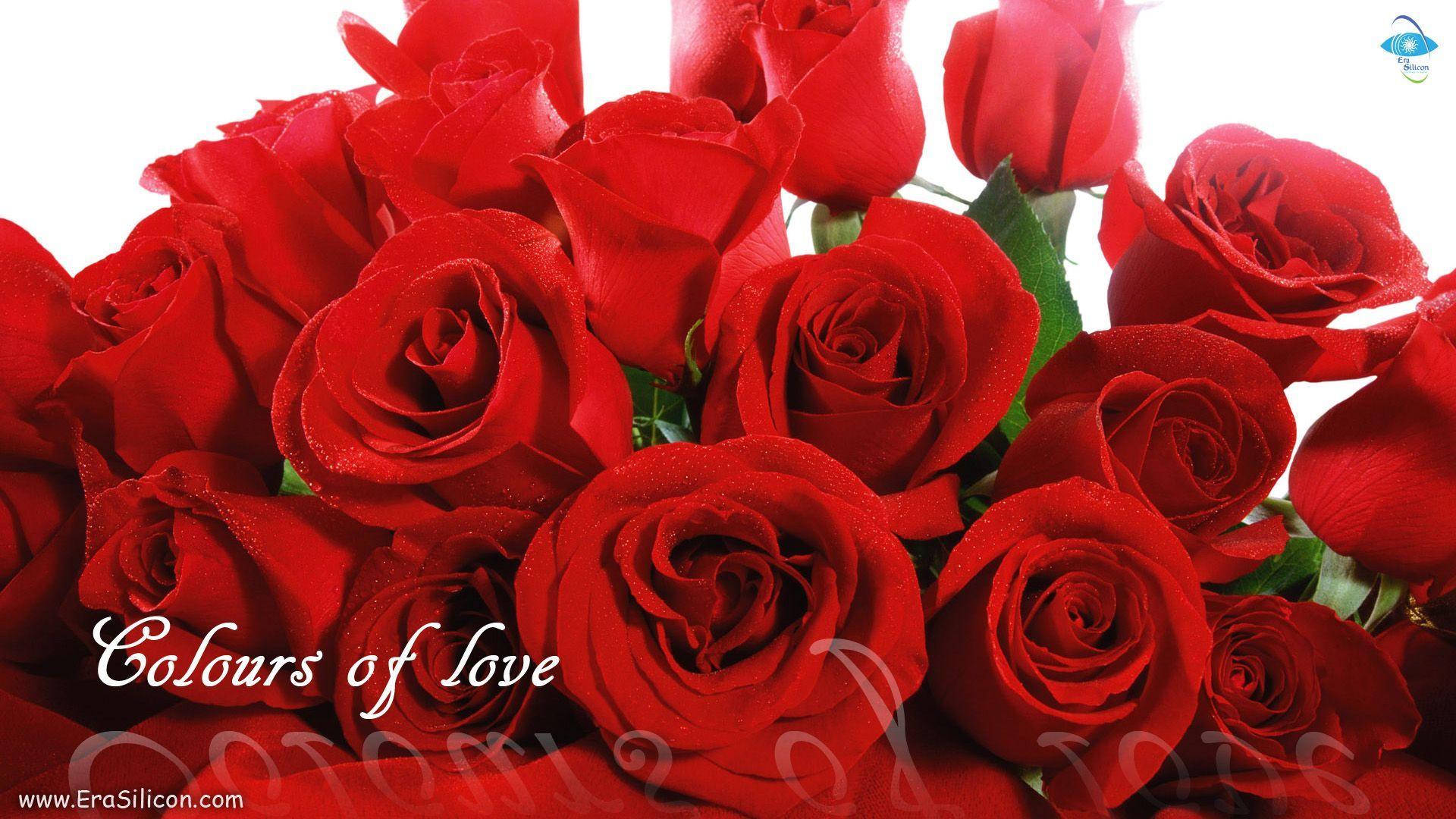 Love Nice Flower Wallpaper / Good Morning Love Images with Red Roses