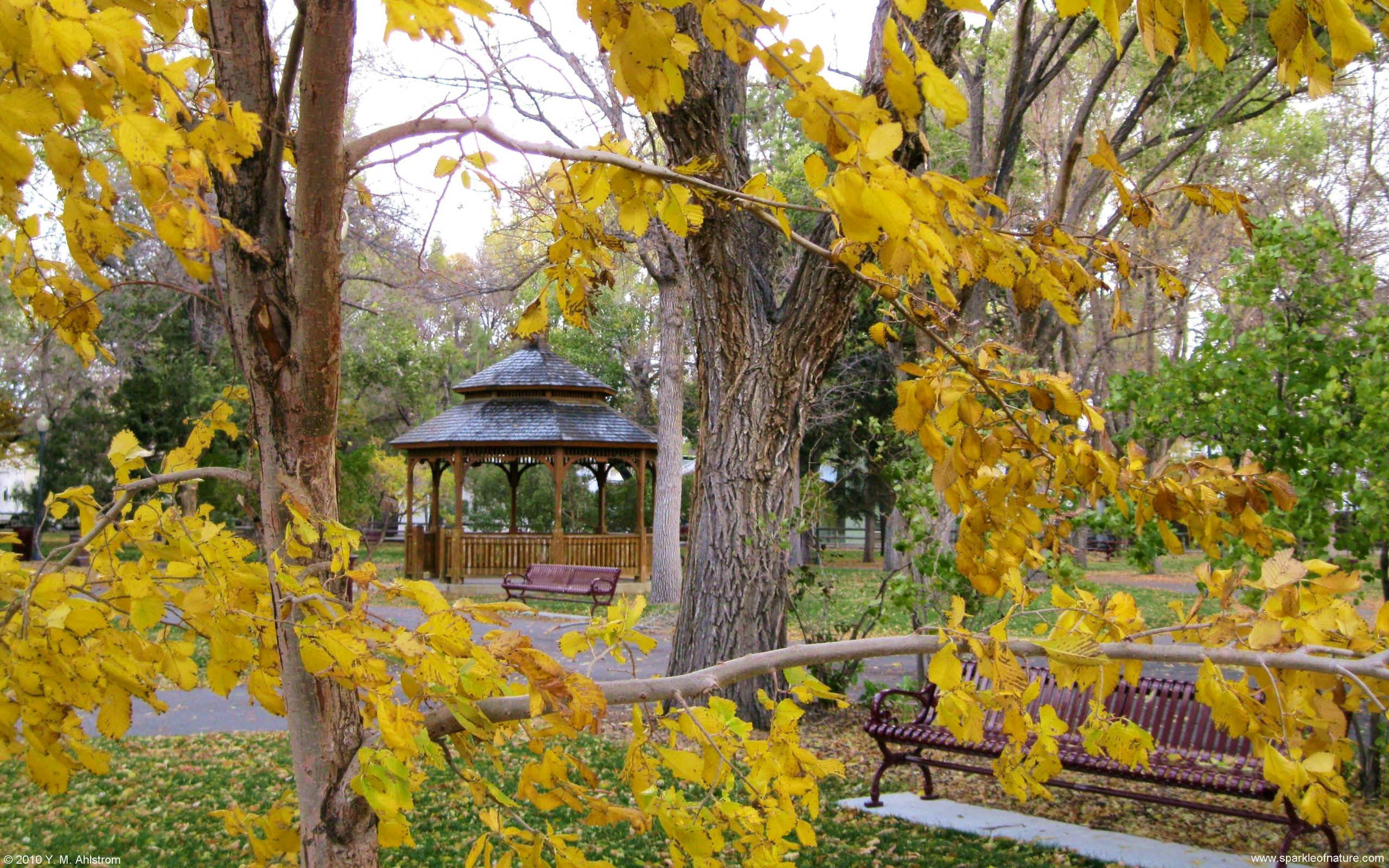 Free Seasonal Desktop Wallpapers Wallpaper Cave