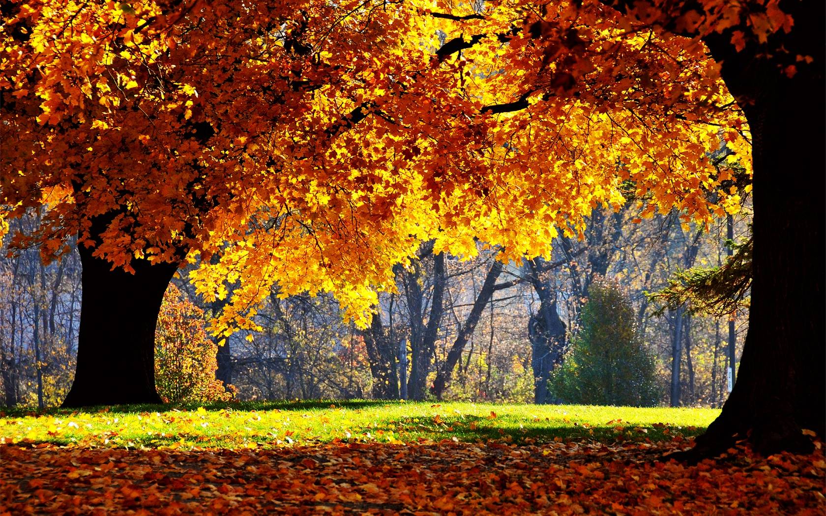 Autum Wallpapers - Wallpaper Cave