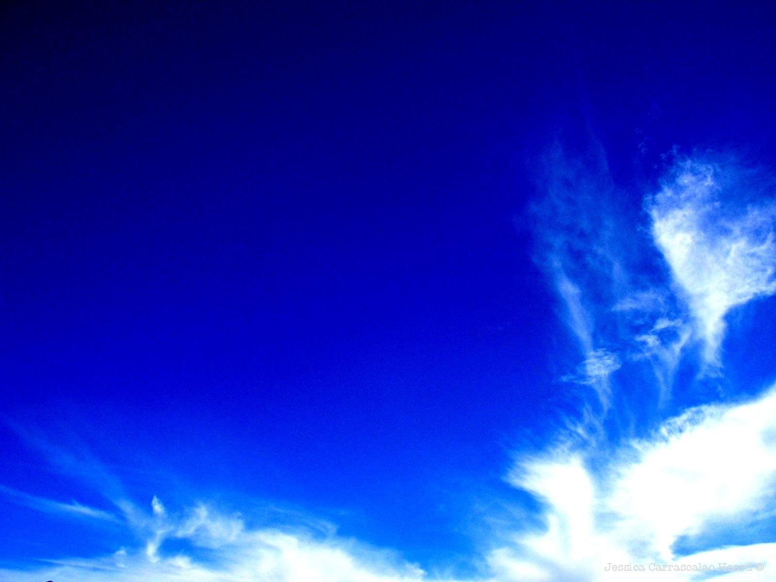 Sky Blue Backgrounds Wallpaper Cave