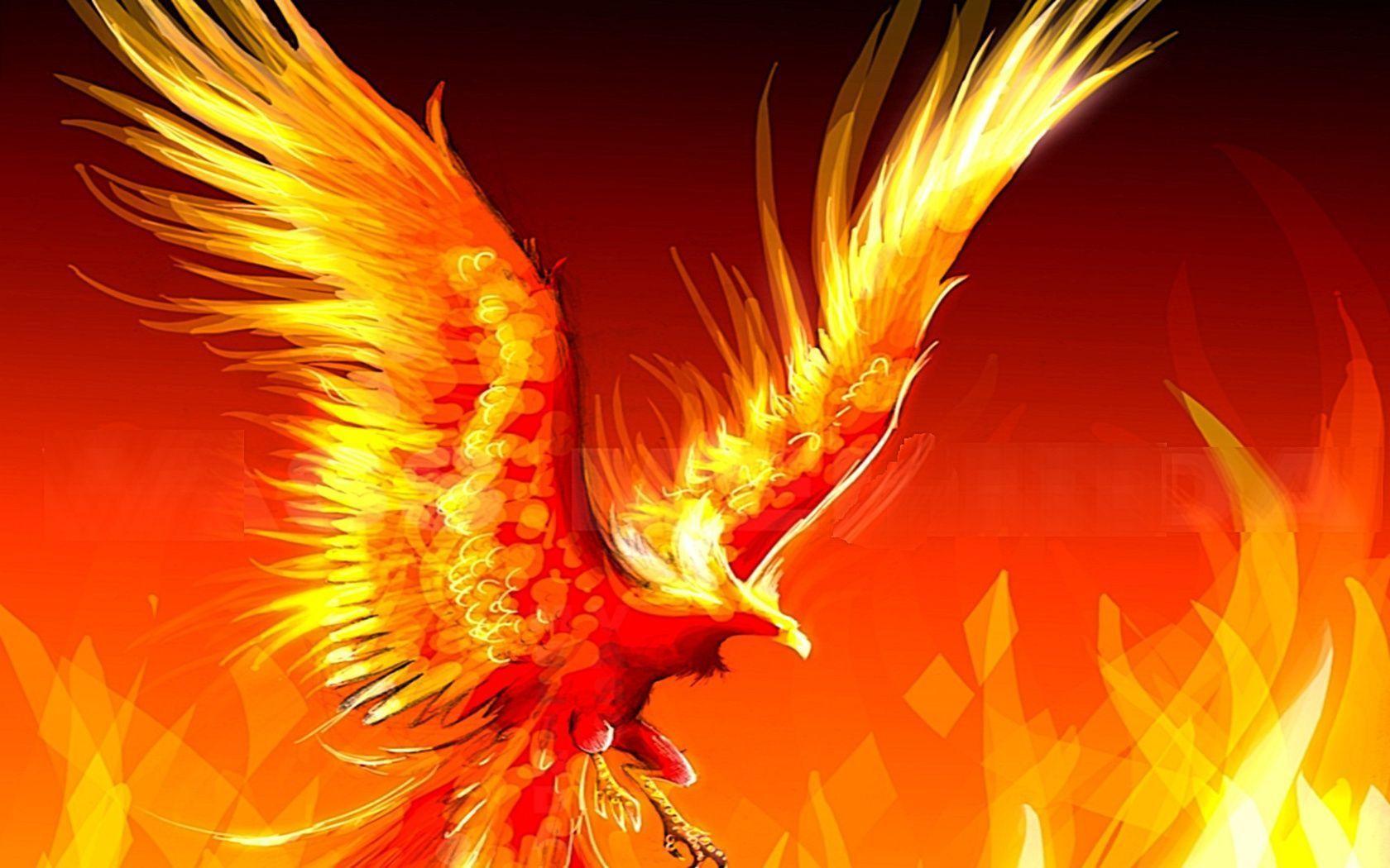 Phoenix Bird Wallpapers Wallpaper Cave