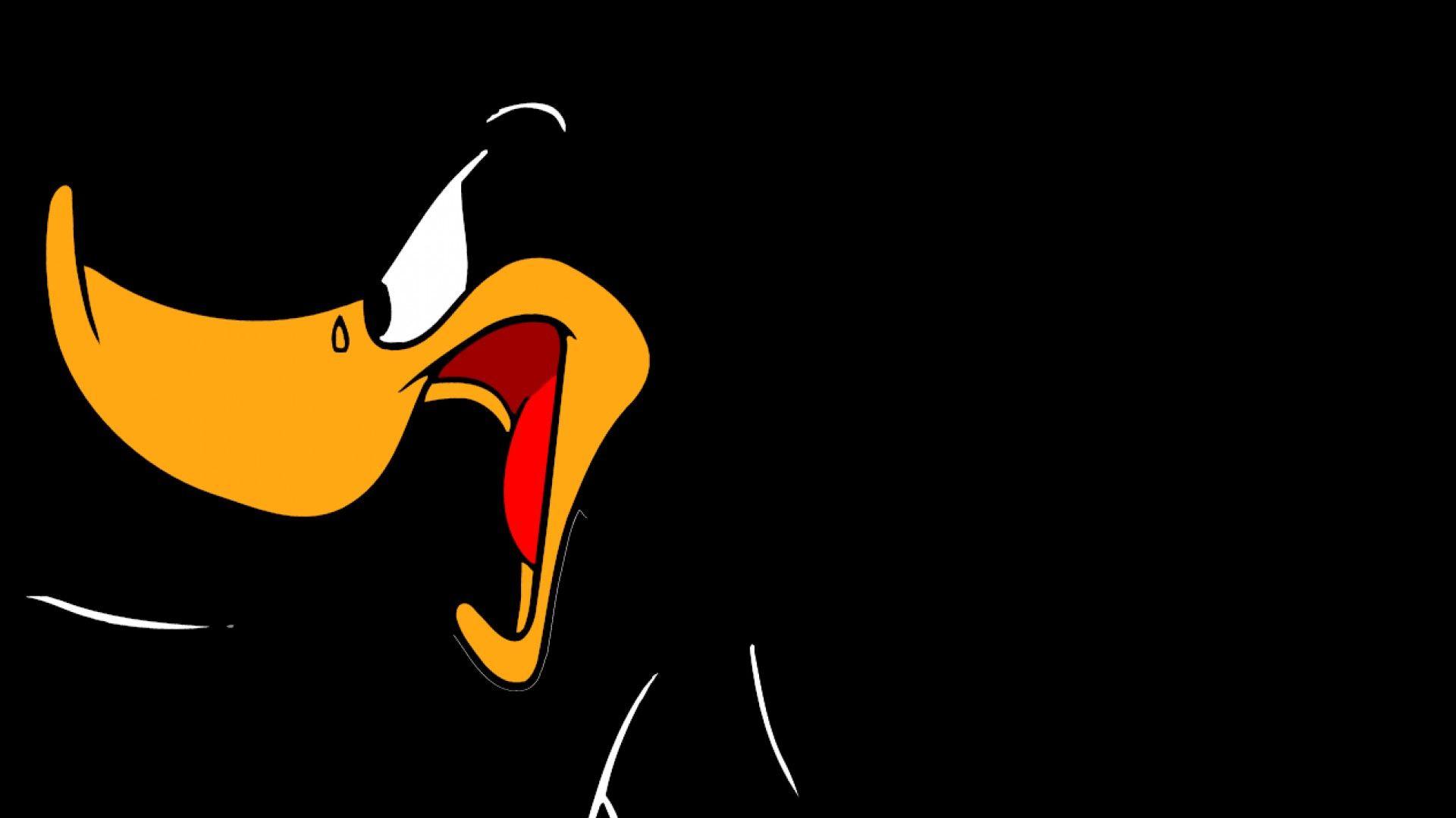 Daffy Duck Wallpapers Wallpaper Cave