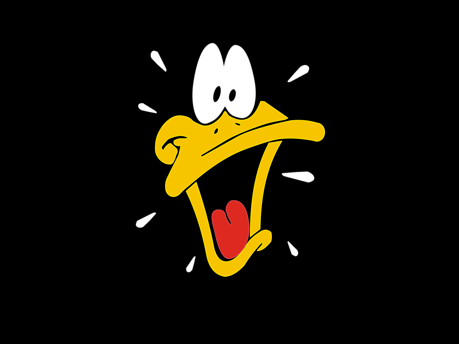 Daffy Duck Wallpapers Wallpaper Cave