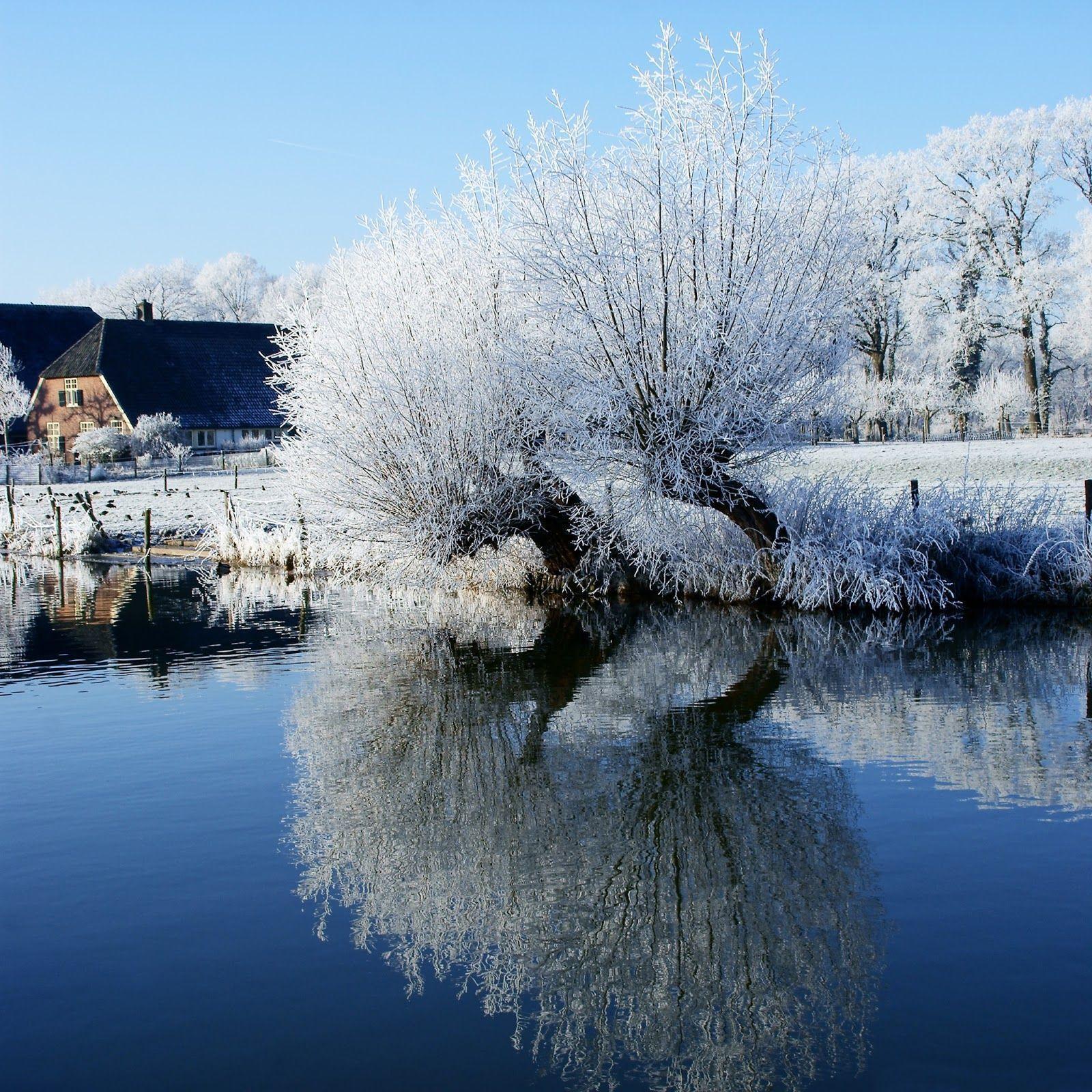 Winter Themed Wallpapers Wallpaper Cave