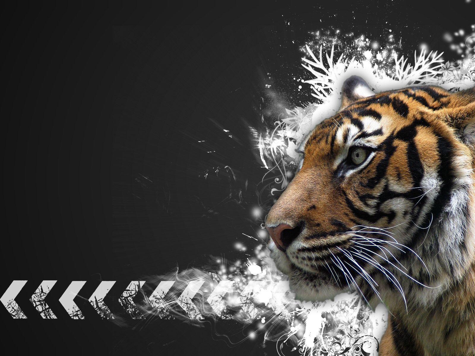 Mac Tiger Wallpapers Wallpaper Cave