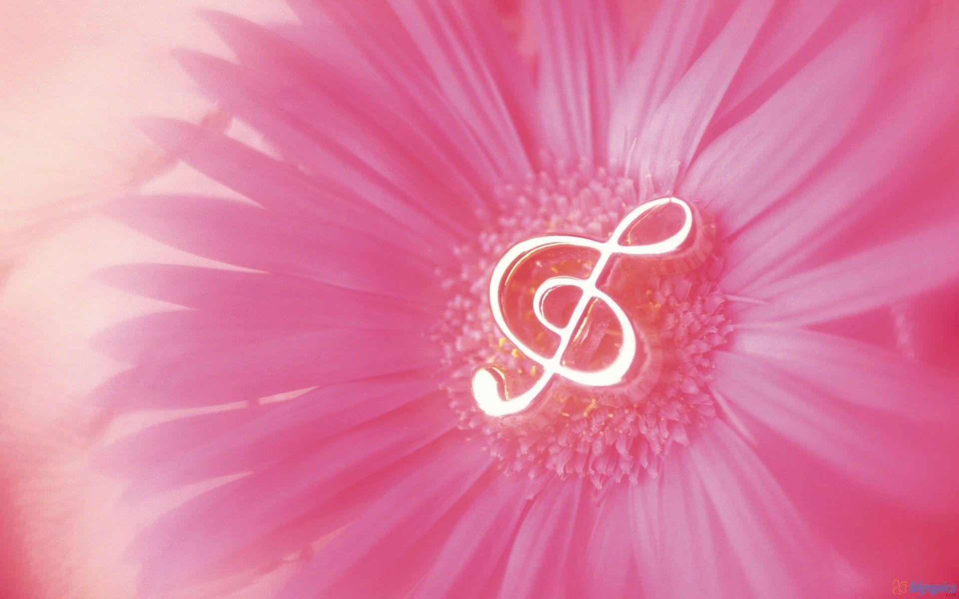 Pink Music Wallpapers Wallpaper Cave