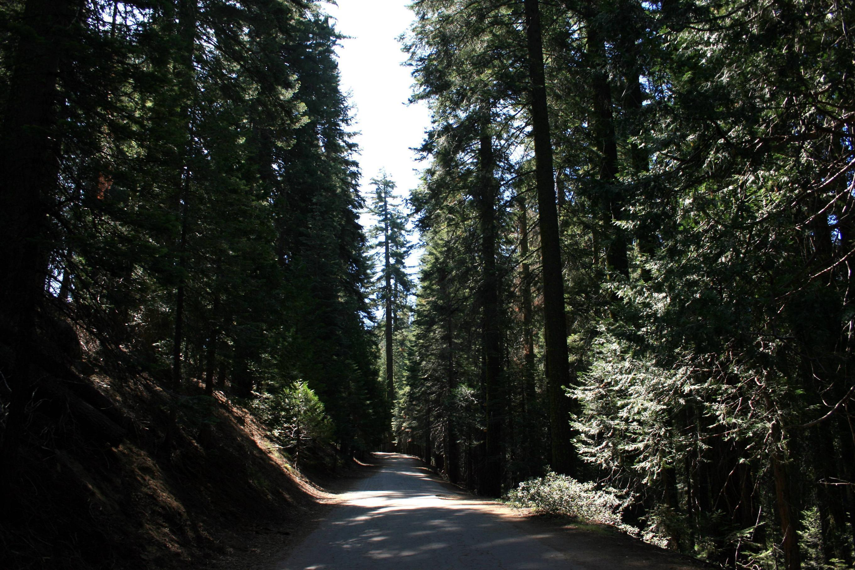 Worst Wallpapers Ever Wallpaper Cave