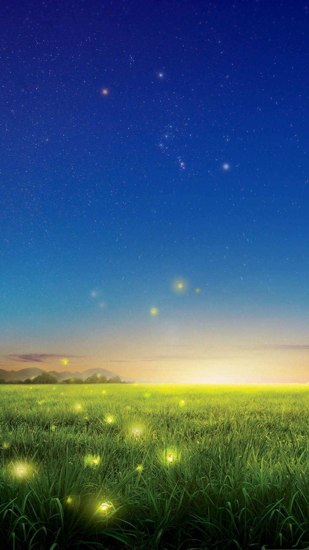 Fireflies Wallpapers Wallpaper Cave
