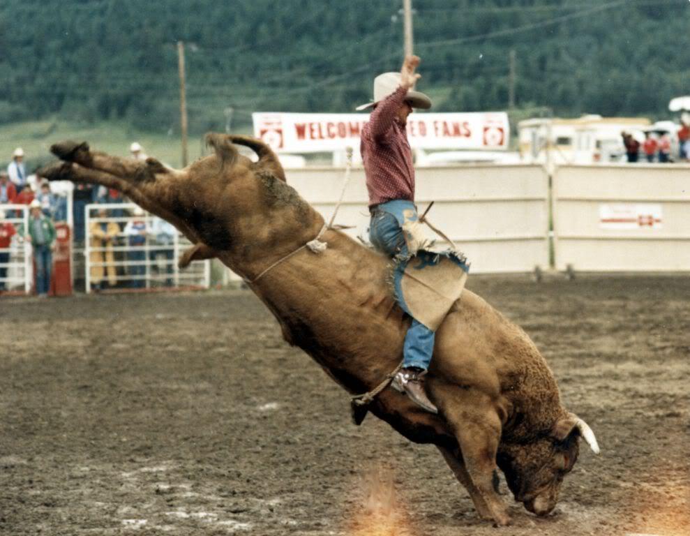 Bull Riding Backgrounds Wallpaper Cave