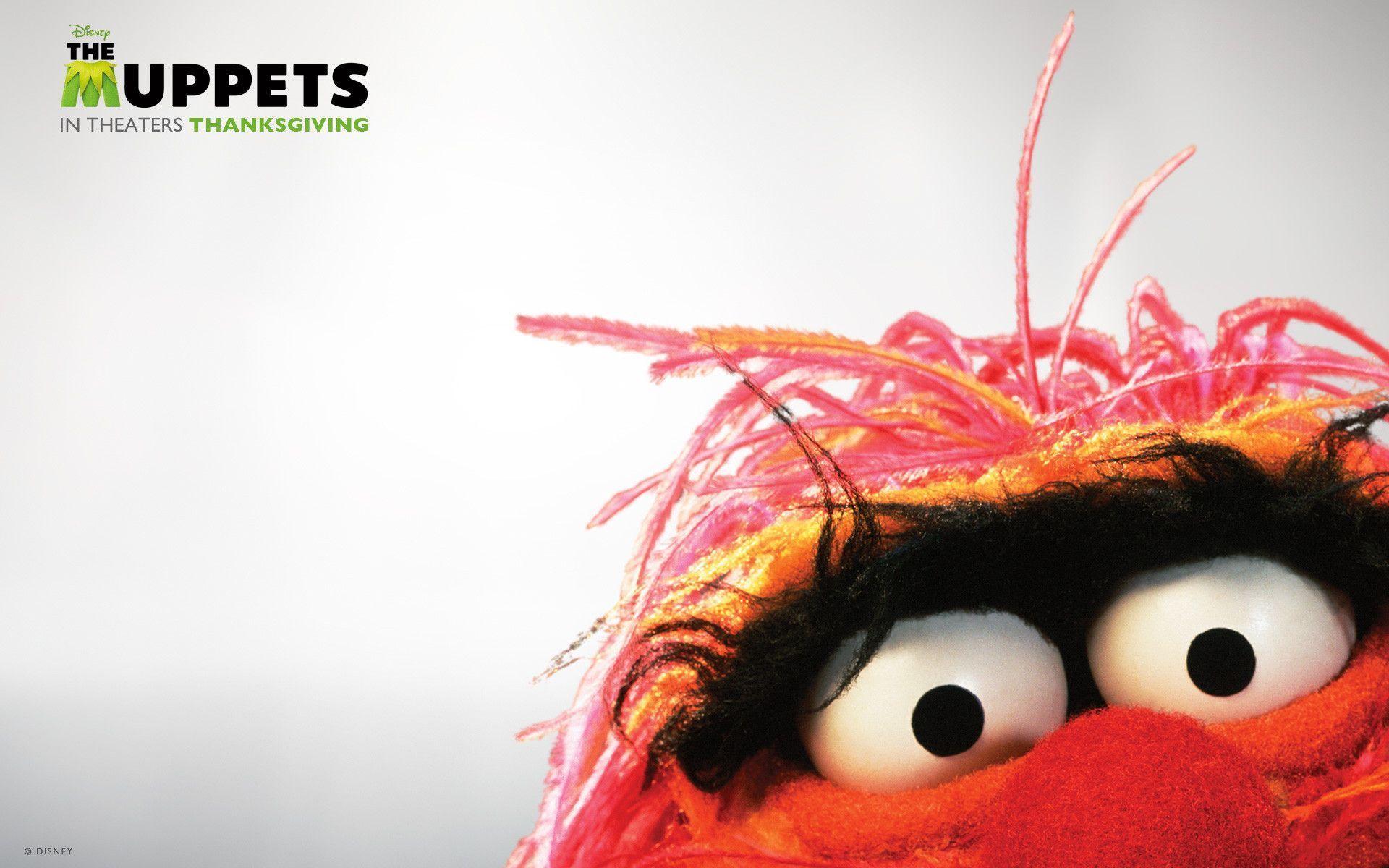 Muppets Wallpapers Wallpaper Cave