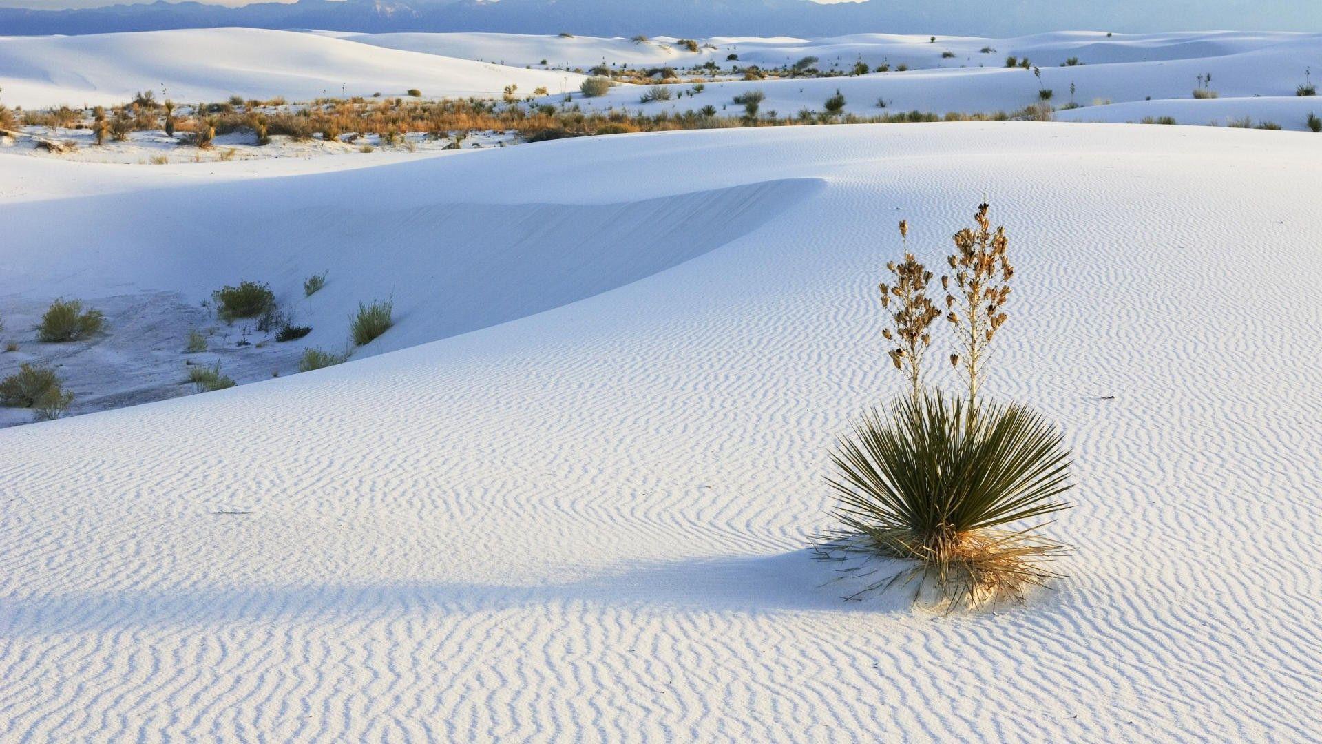 White Sands Wallpapers Wallpaper Cave