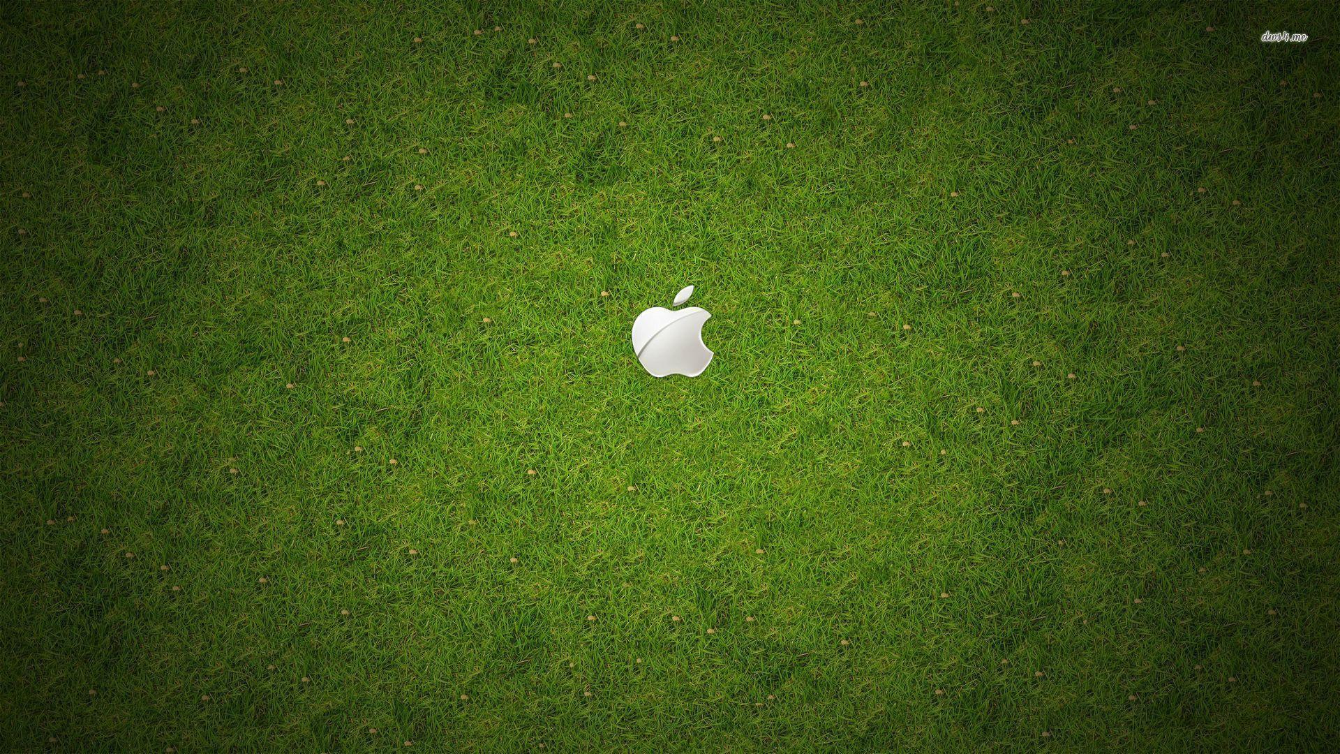 Apple Grass Wallpapers Wallpaper Cave