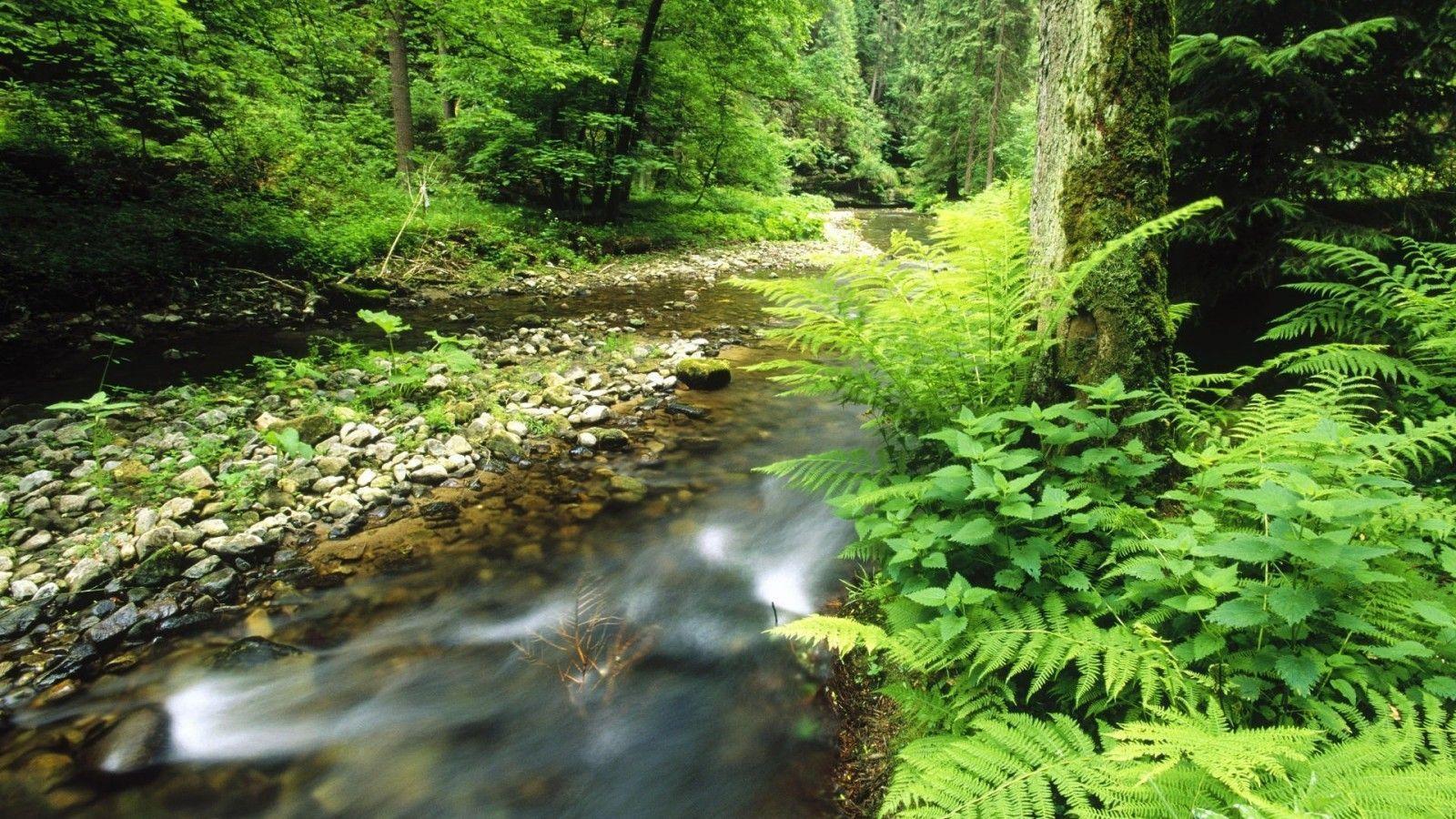 Nature Wallpapers 1600x900 Wallpaper Cave