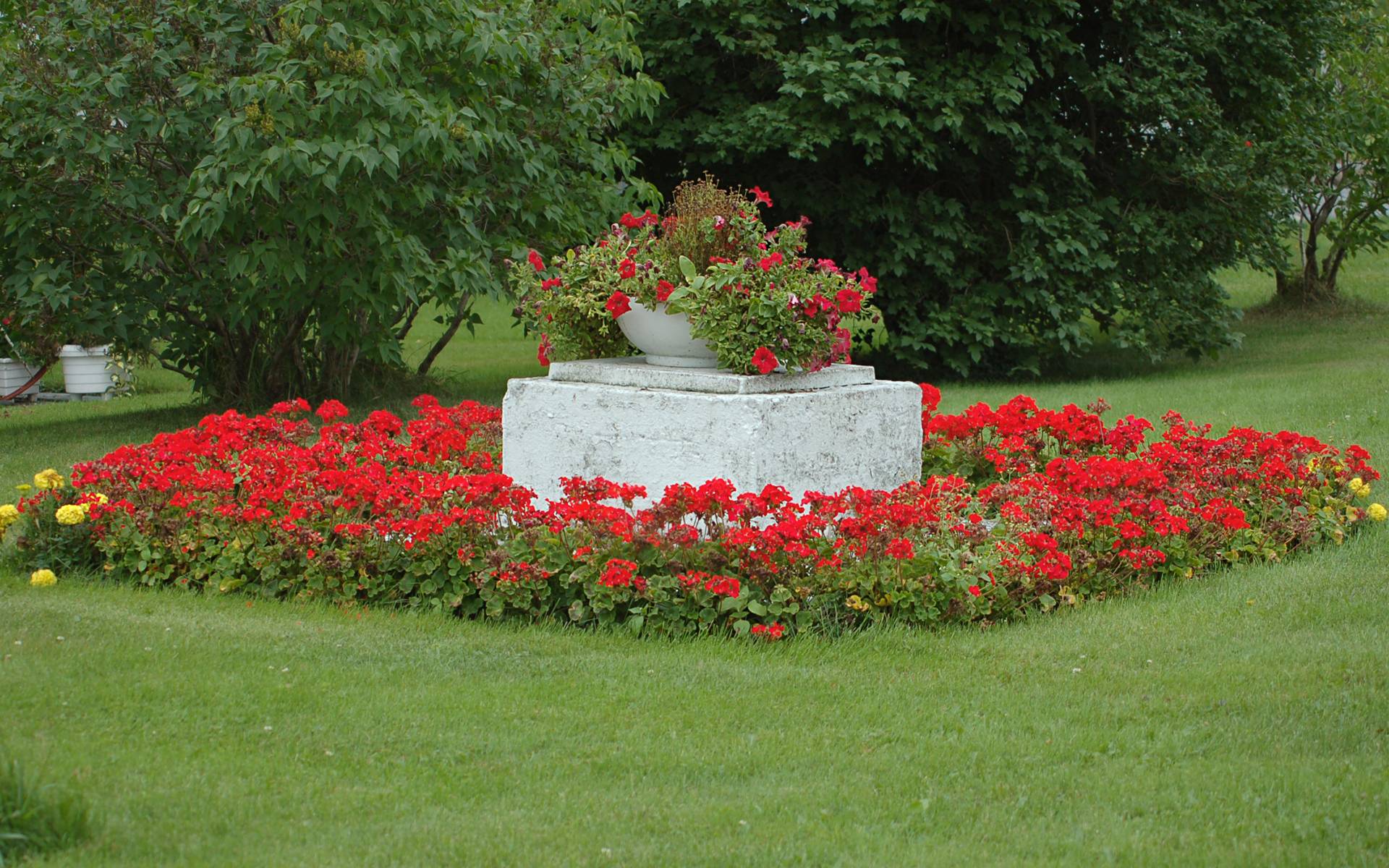 Flower Garden Backgrounds Wallpaper Cave HD Background