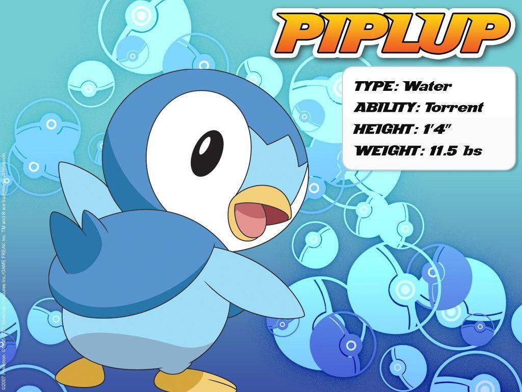 Piplup Wallpapers Wallpaper Cave