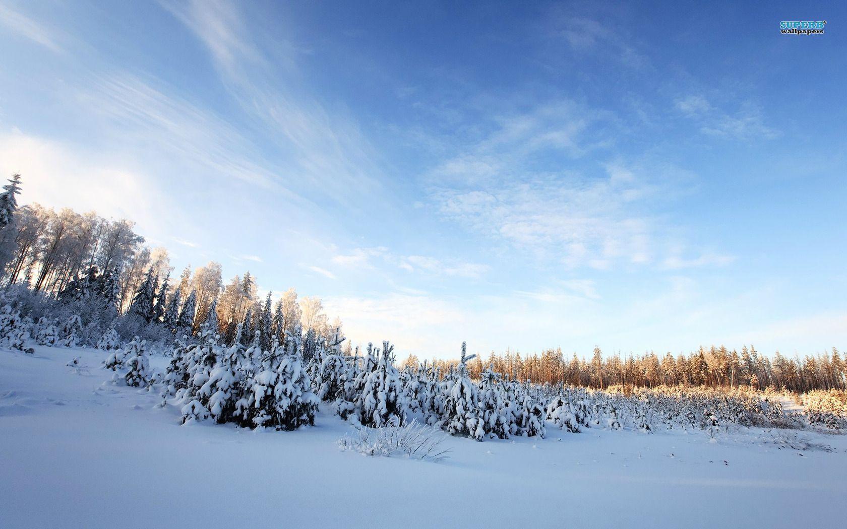 Beautiful Snow Wallpapers Wallpaper Cave