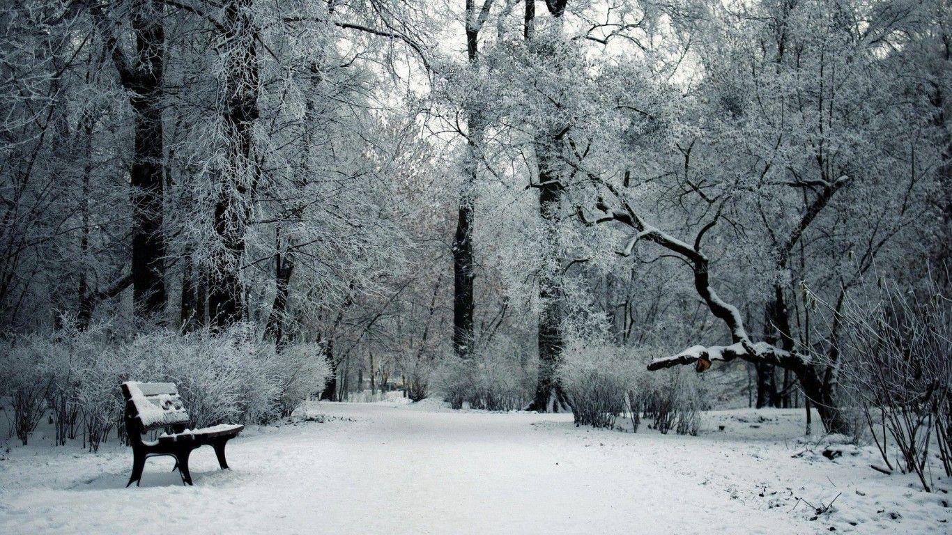 Wallpapers Of Snowfall Wallpaper Cave