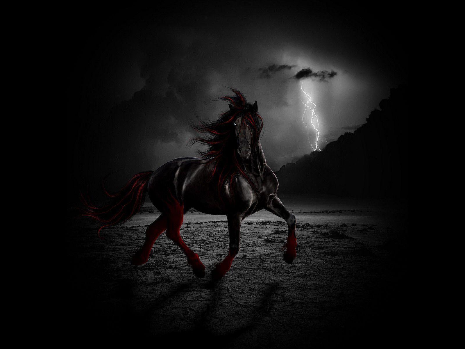 Black Horse Wallpapers Wallpaper Cave