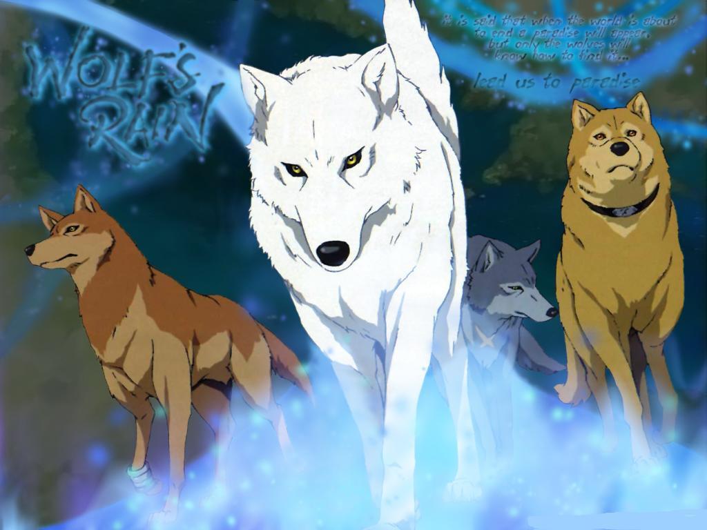 Anime Wolf Wallpapers Wallpaper Cave