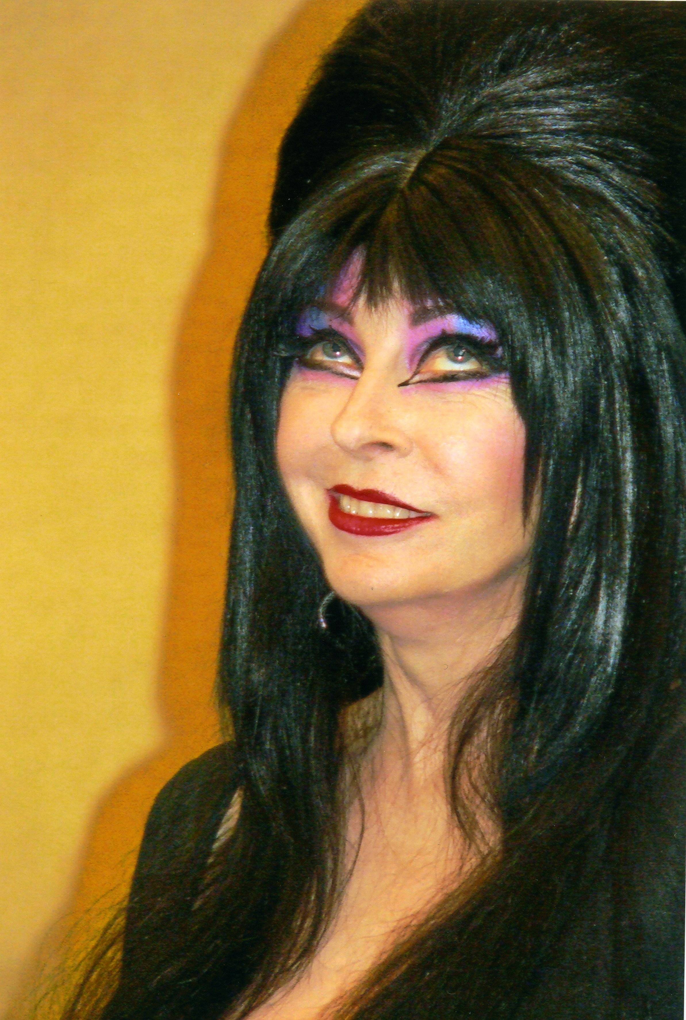 Elvira Mistress Of The Dark Wallpapers Wallpaper Cave