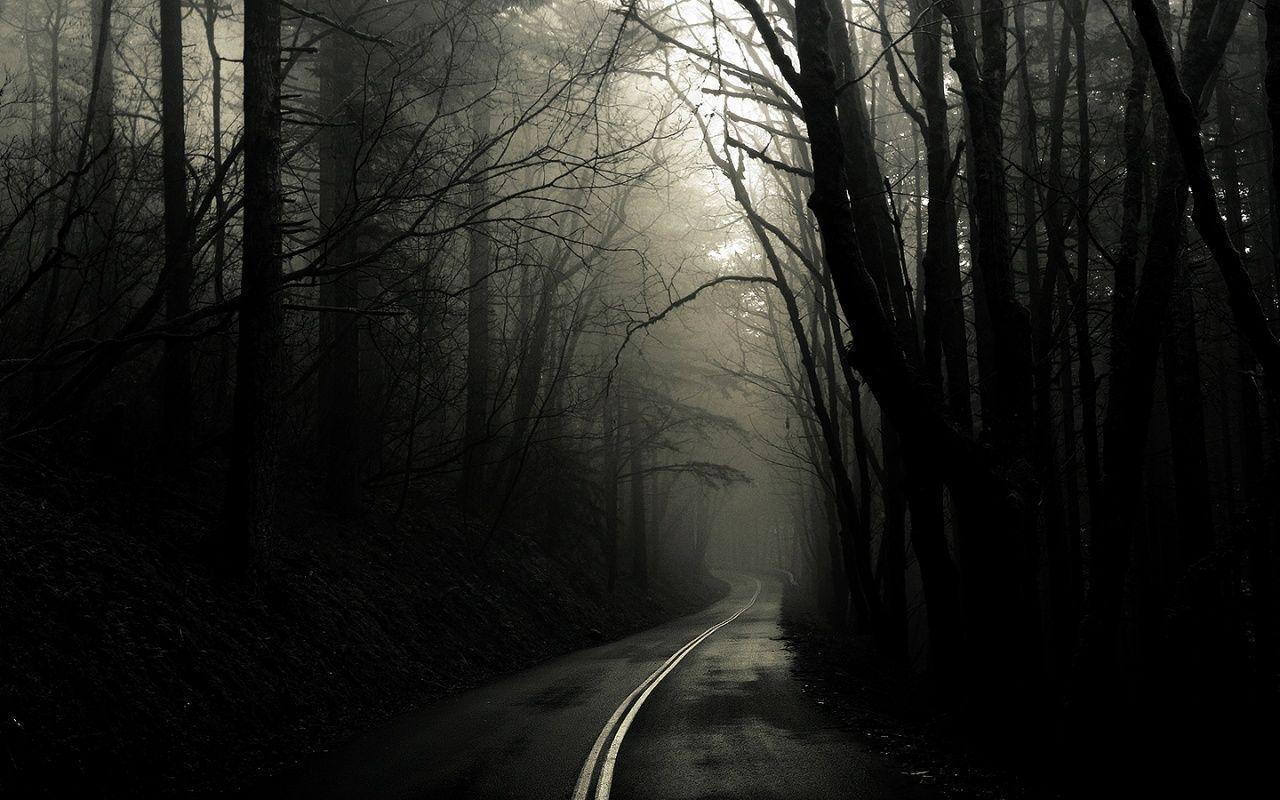 Dark Woods Wallpapers Wallpaper Cave