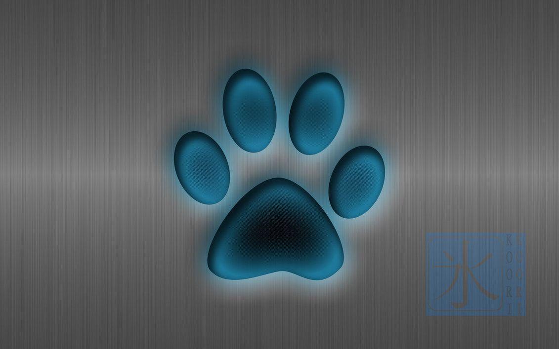 Paw Print Wallpapers Wallpaper Cave