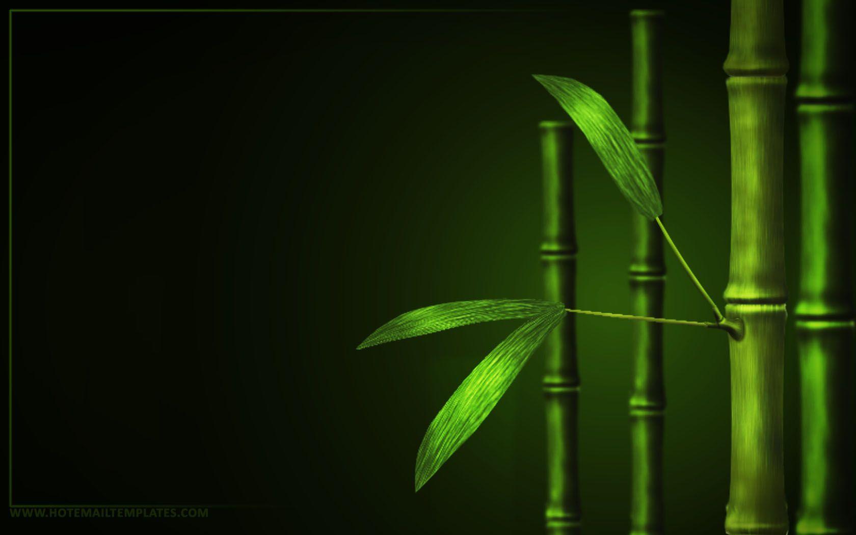 Wallpapers Bamboo Wallpaper Cave