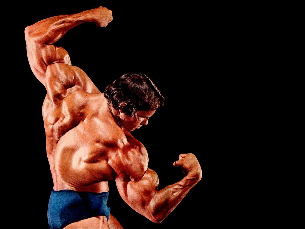 Bodybuilding Wallpapers HD 2015 Wallpaper Cave